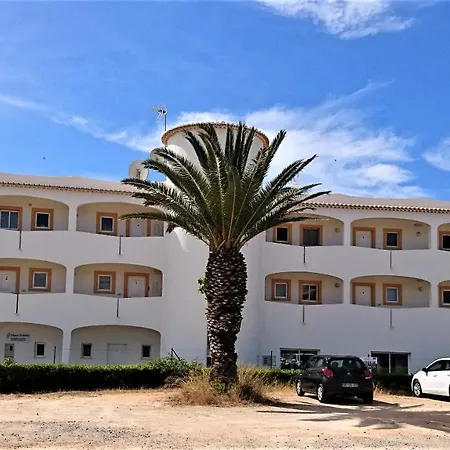 Palm Trees 아파트 Senhora da Luz